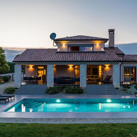 Villa Labin In Zartinj - Luxury Privacy Heated Pool With Auto Cover Dış mekan fotoğraf